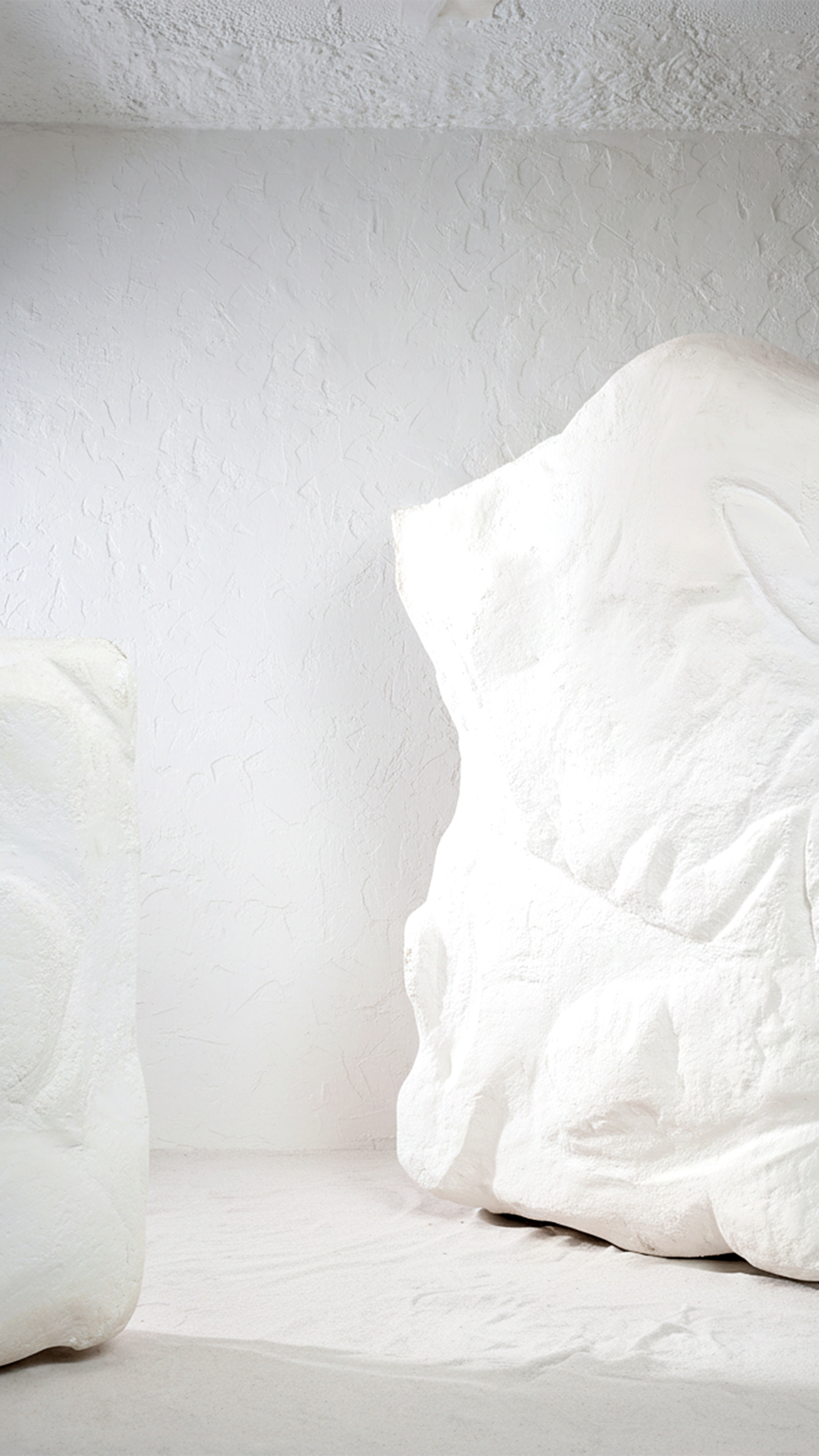 Sculpted in White image 1