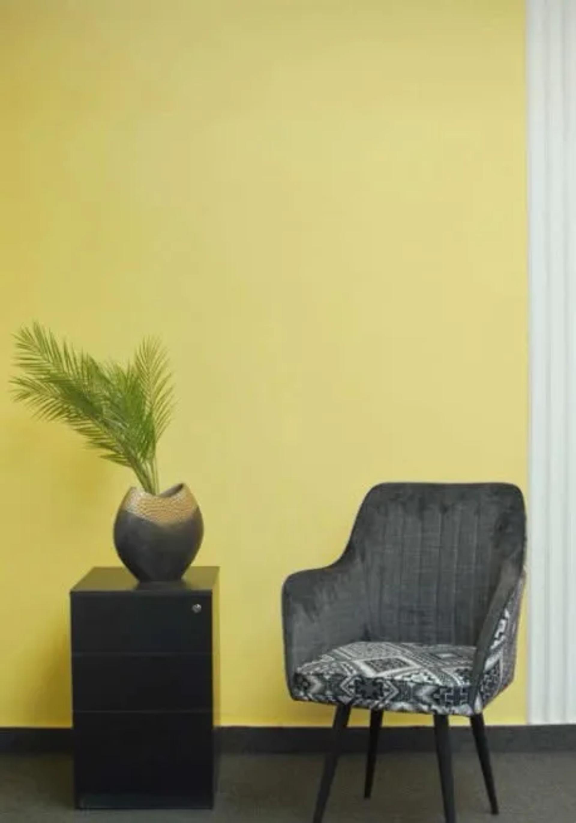 Versatile Photography & Video Production Studio with Chroma Wall – Shoot Studio in Delhi, photo 4