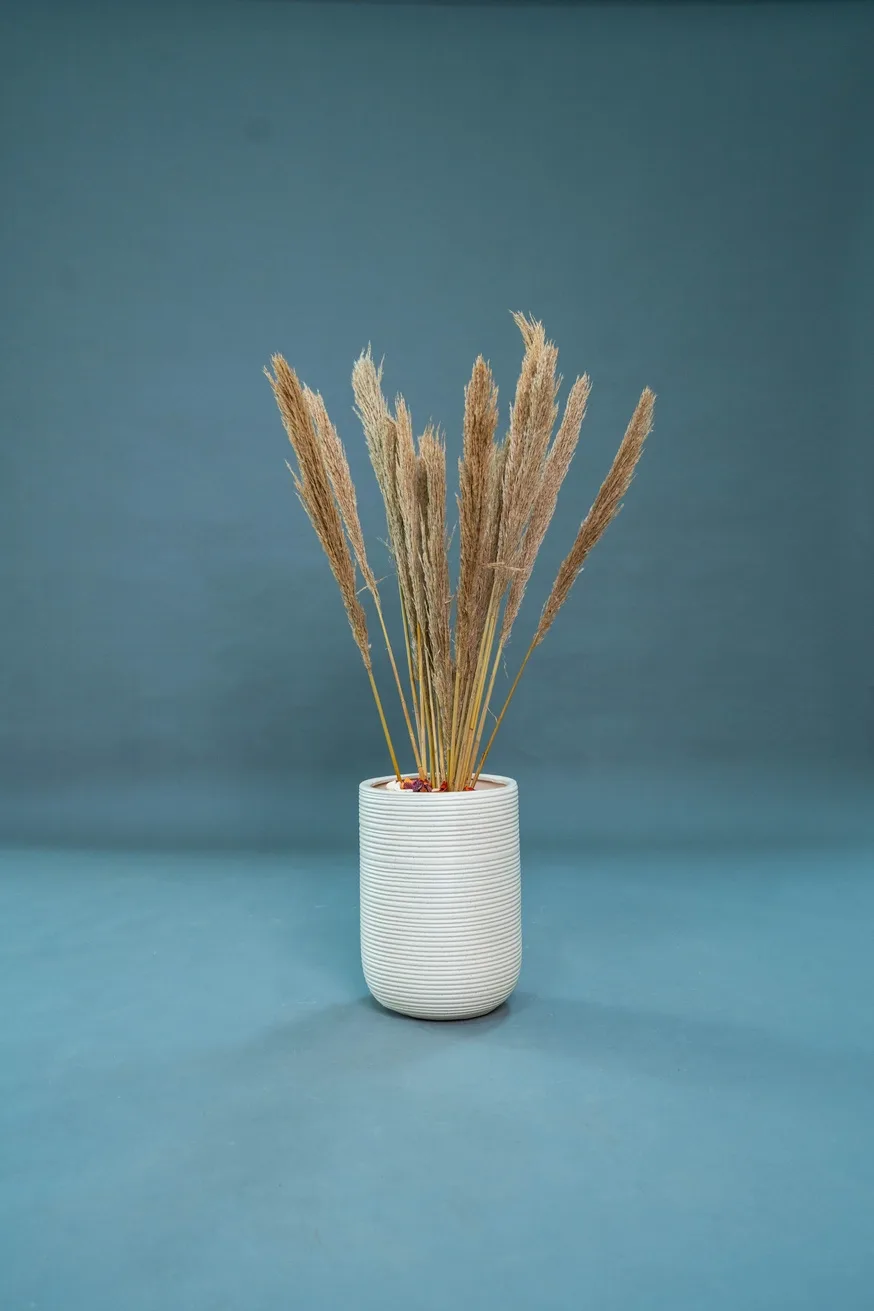 The Modern Portfolio & Brand Studio – Shoot Studio in Mumbai, photo 22