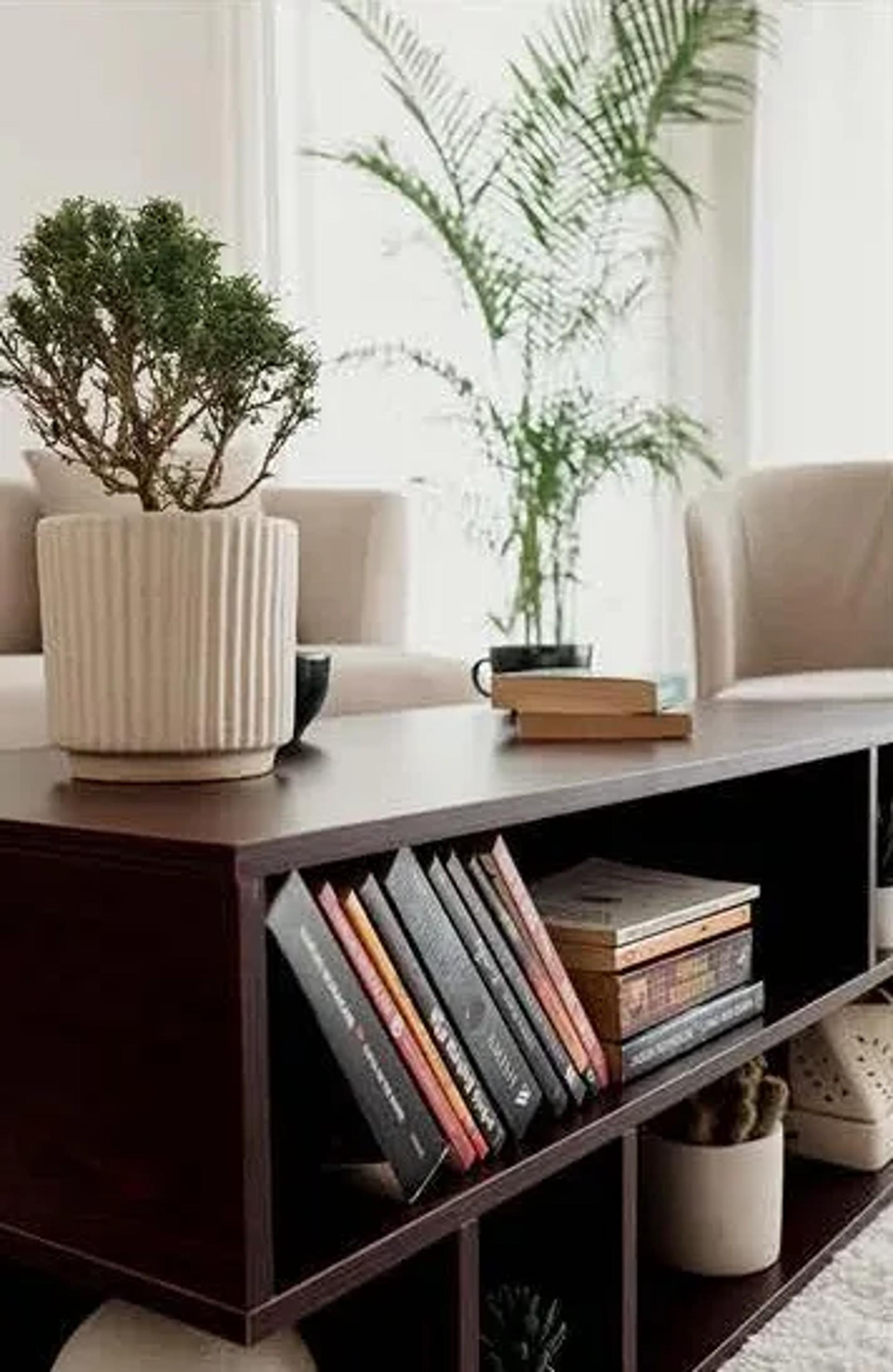 The Home Set Studio Gurugram – Shoot Studio in Gurugram, photo 3