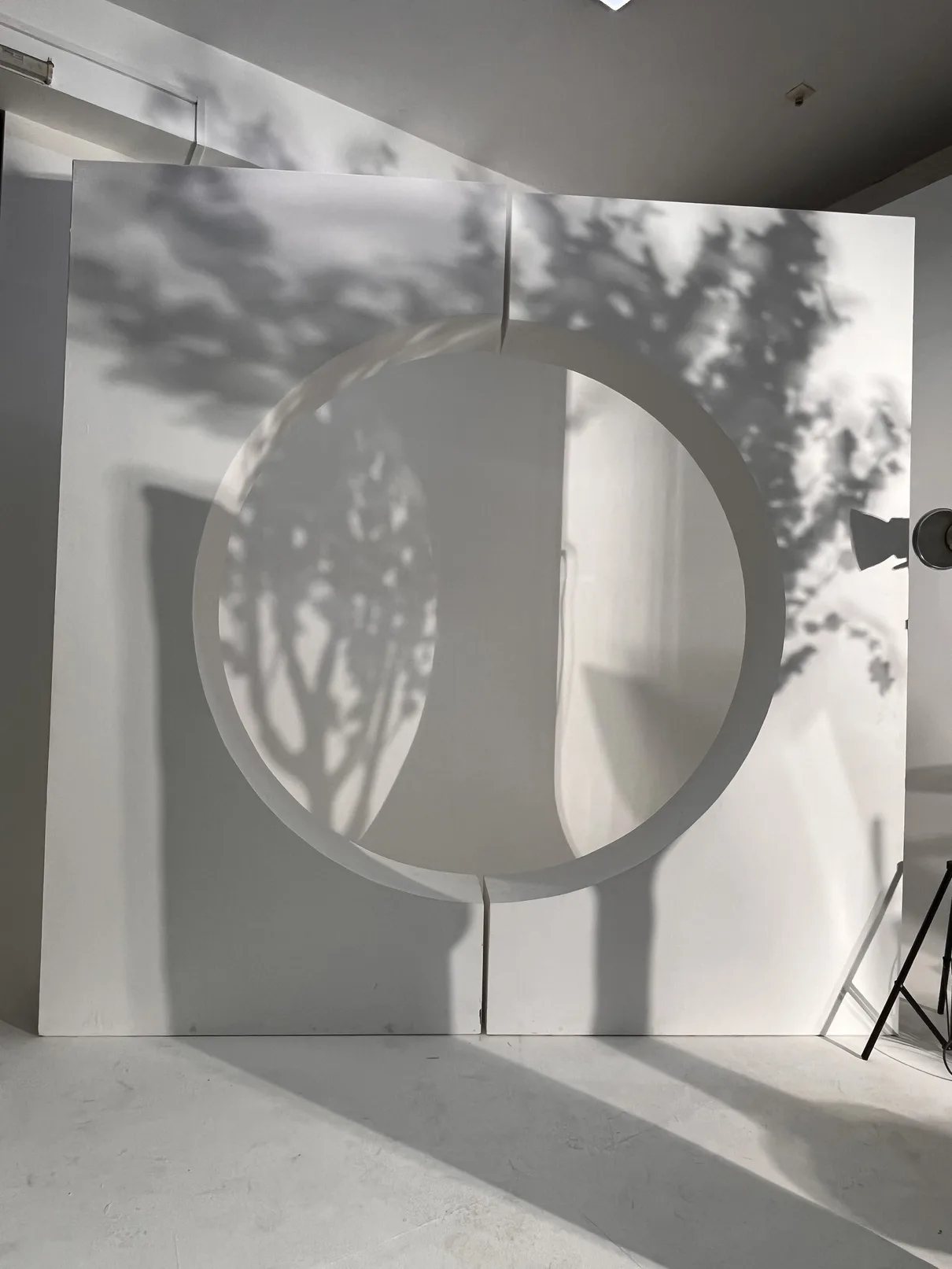The Curated Multi-Concept Creative Space in West Delhi – Shoot Studio in Delhi, photo 3