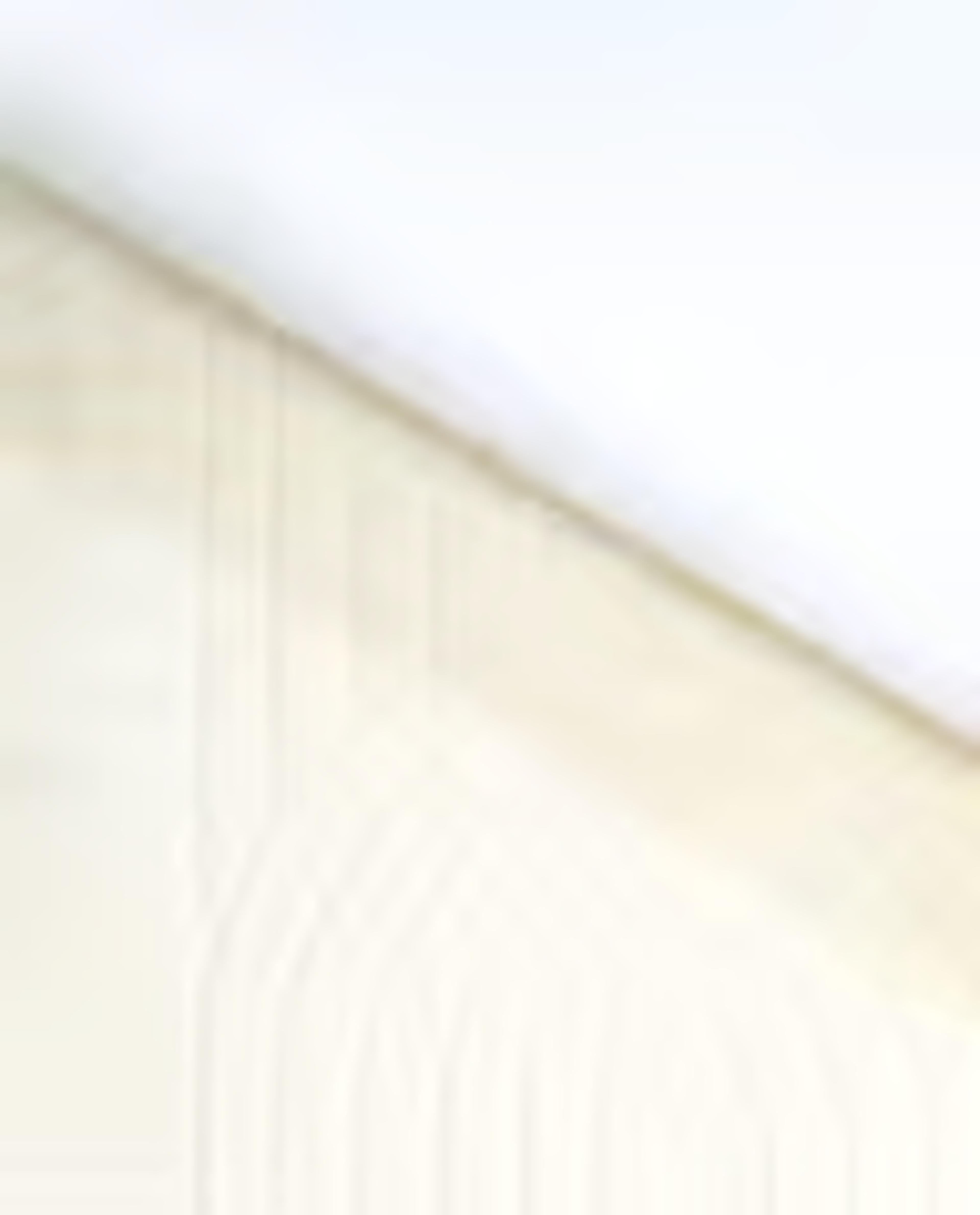 Textured Earthen VaseIvory Rug